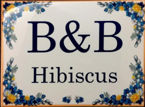 B&B Hibiscus